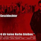 BLOODFIGHT THE MOVIE jetzt auf www.martinpitt.de