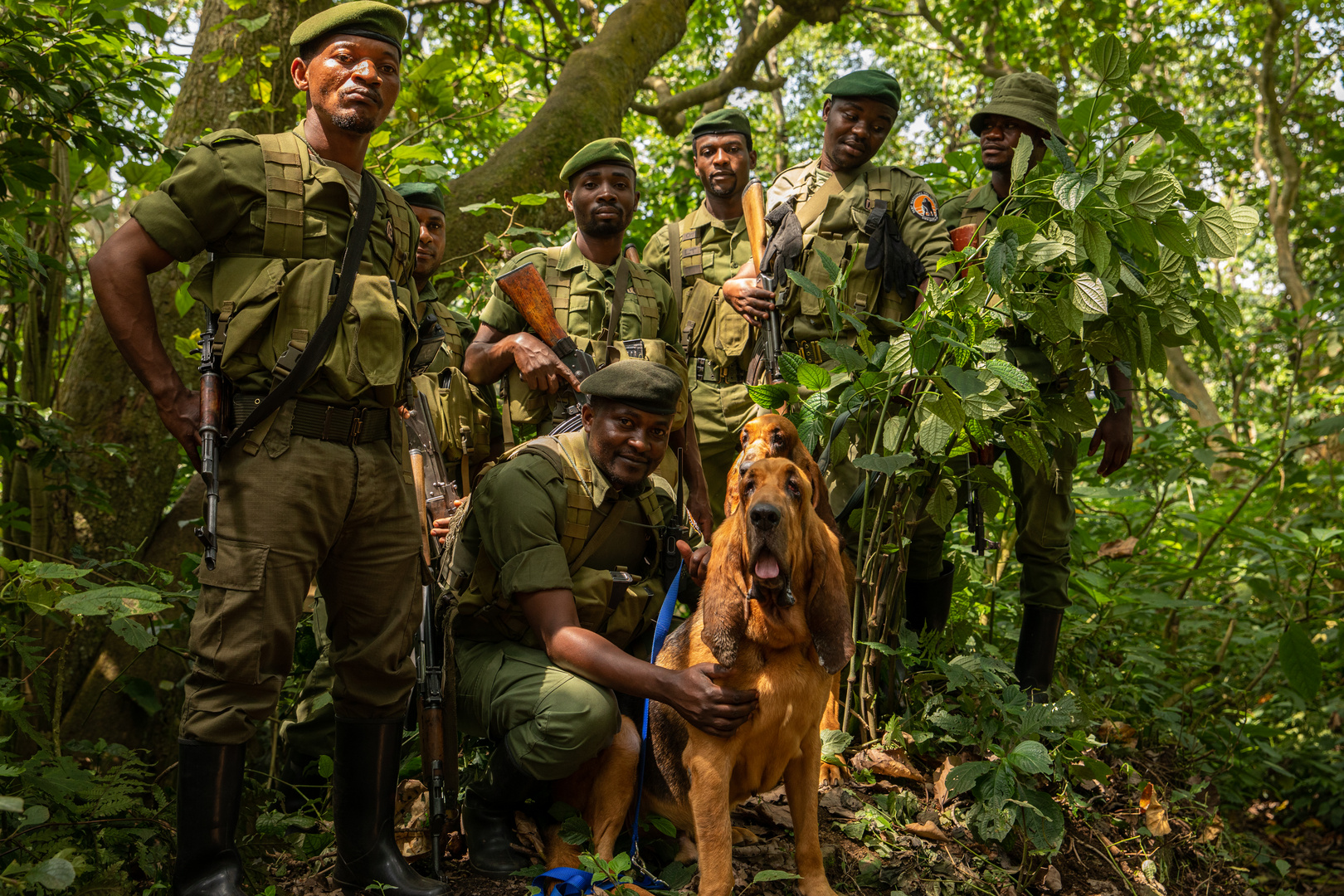 Bloodhound Unit Virunga Kongo