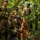 Bloodhound Unit Virunga Kongo