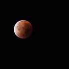 Bloodmoon 2015