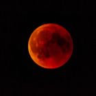 Bloodmoon