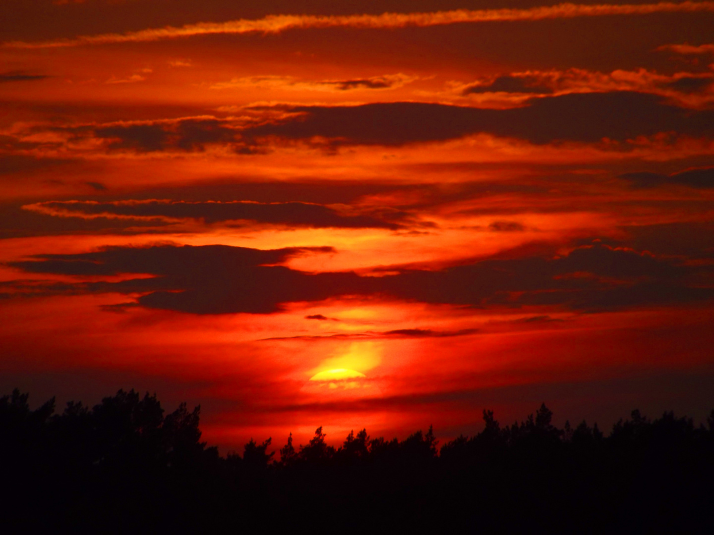 Bloodred Sunset