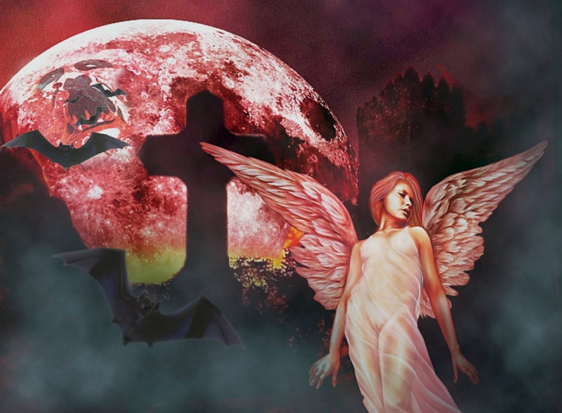 Bloody Moon and Bloody Angel