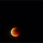 Bloody Moon over Blackforest
