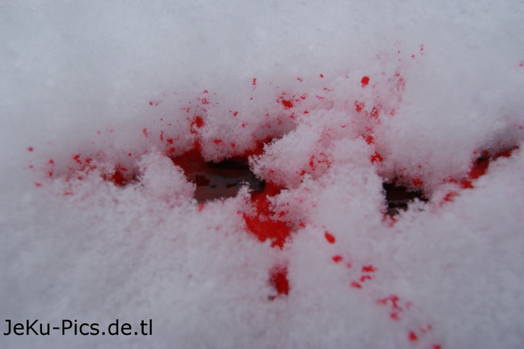 Bloody Snow