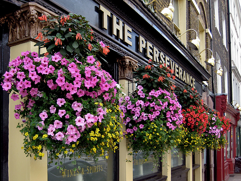 Bloomsbury