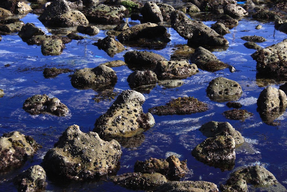 Bloques en remojo azul