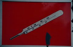 bloß ein Fieberthermometer,