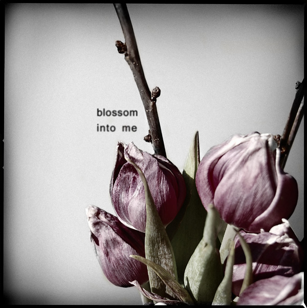 blossom