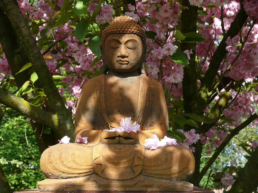 Blossom Buddha