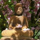 Blossom Buddha