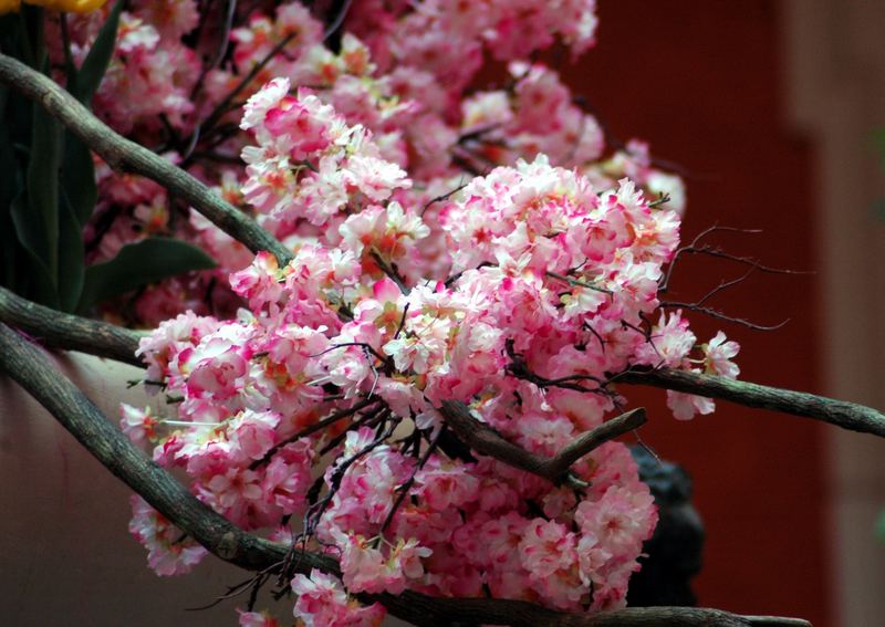 Blossom By Bellagio