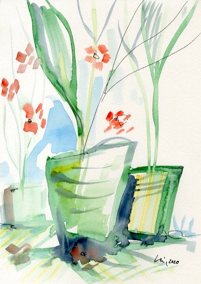 'blossoms beside a window'