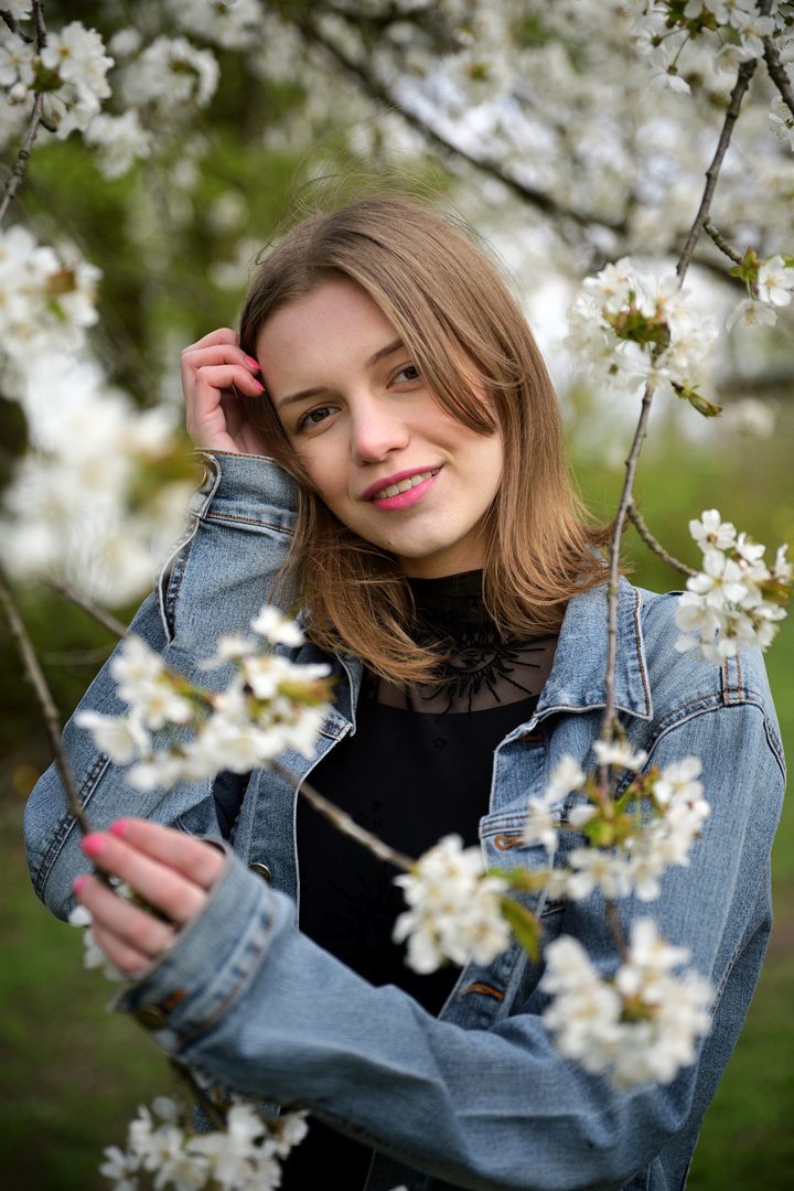 Blossoms in April