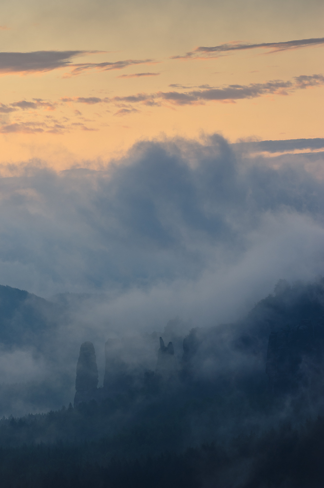 Blosstock im Nebel