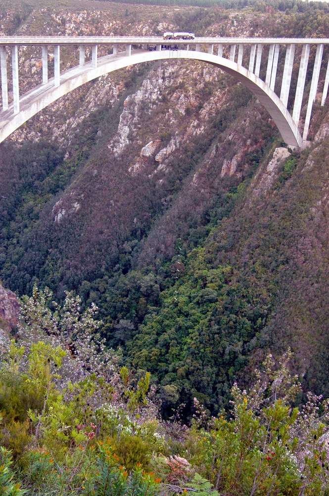 Bloukrans Bridge 2