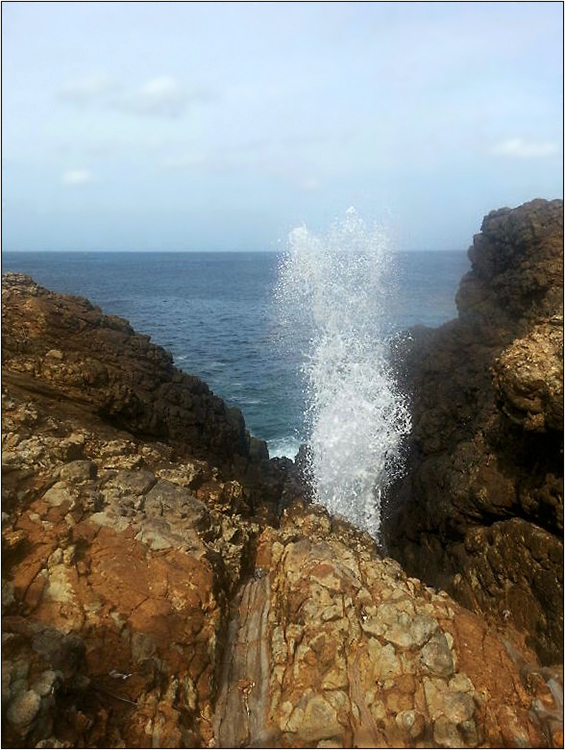 Blow Hole