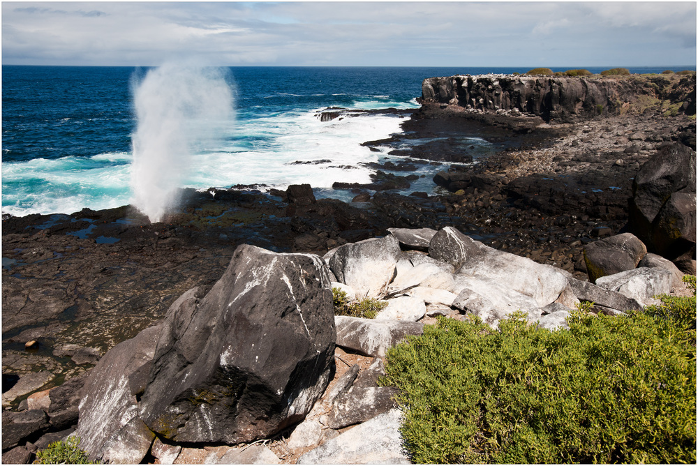 [ Blow Holes & the Pacific Ocean ]