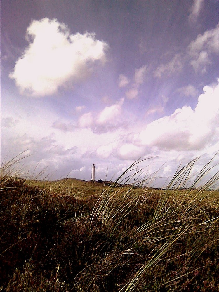 Blow the wind southerly