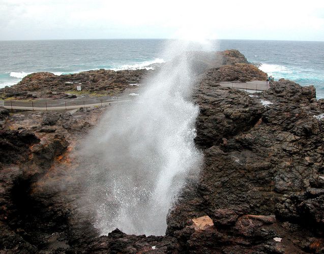 Blowhole