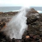 Blowhole