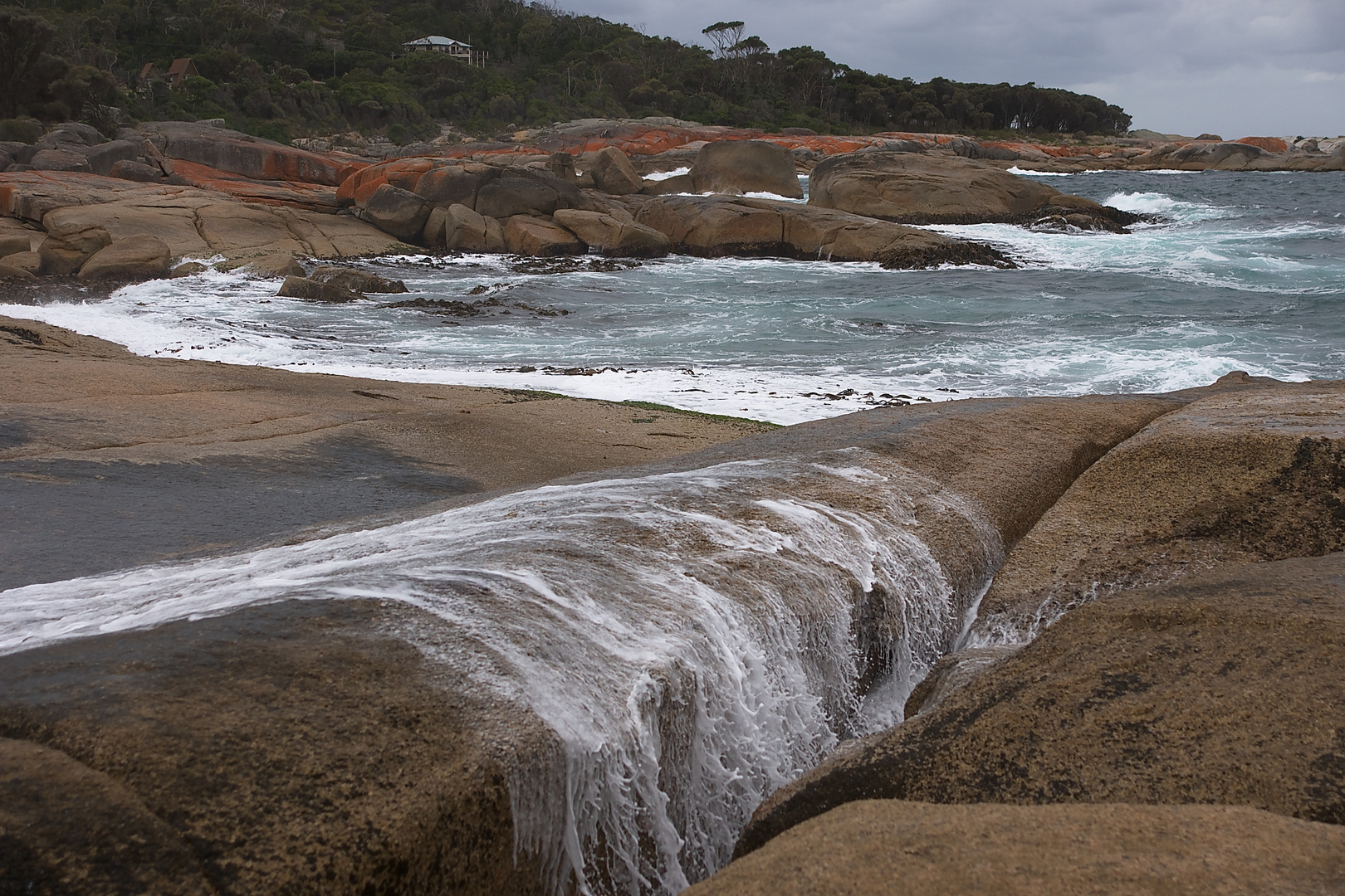 Blowhole