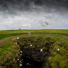 blowhole ~ downpatrick head