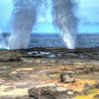 Blowholes