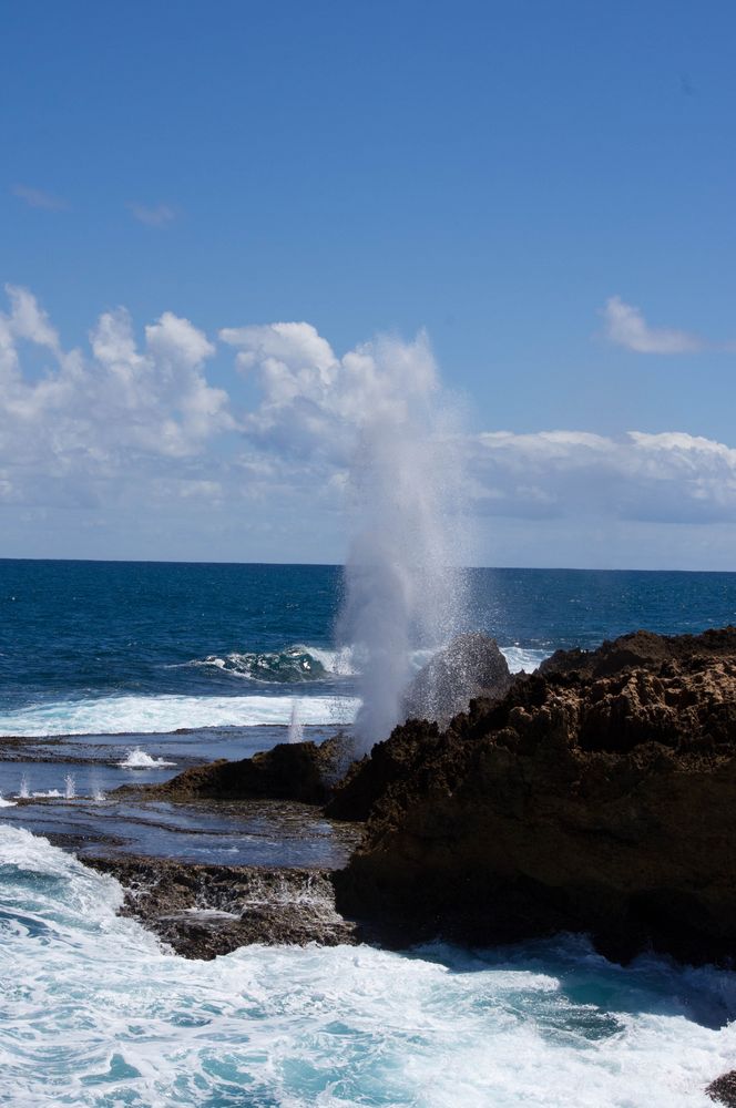 Blowholes