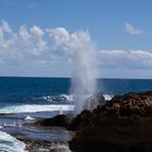 Blowholes