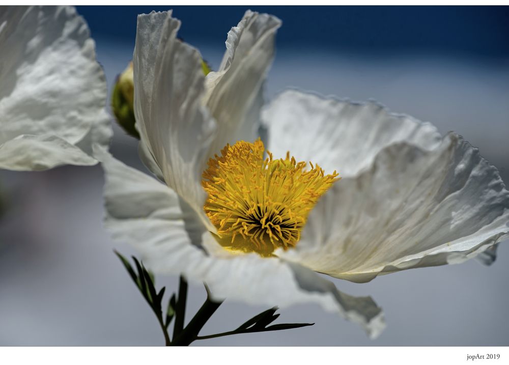 Blowin´ in the wind...