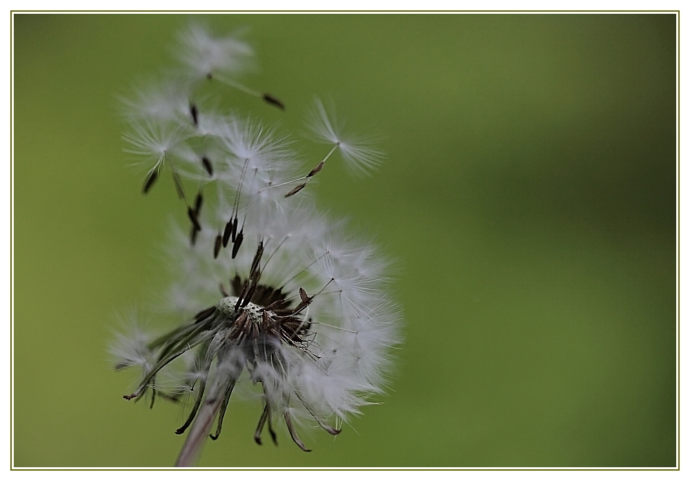 ... blowin' in the wind ...