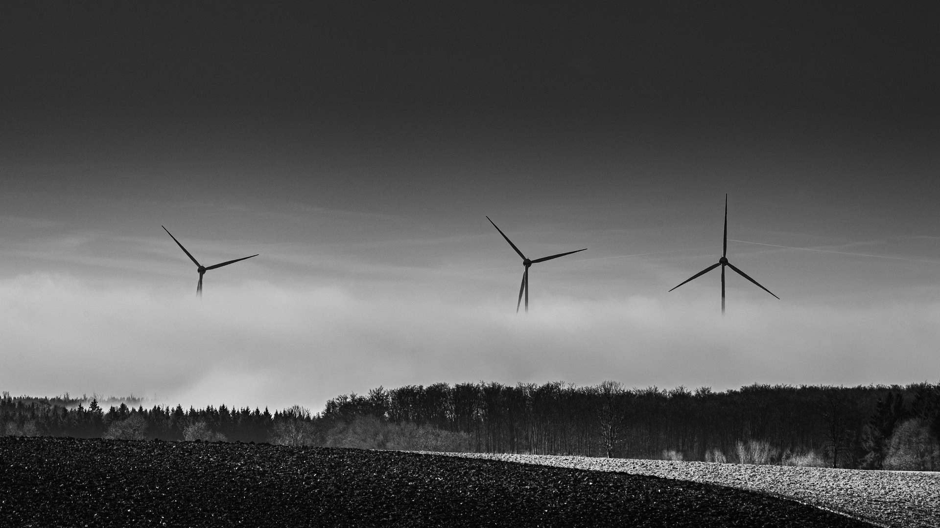 BLOWIN´ IN THE WIND