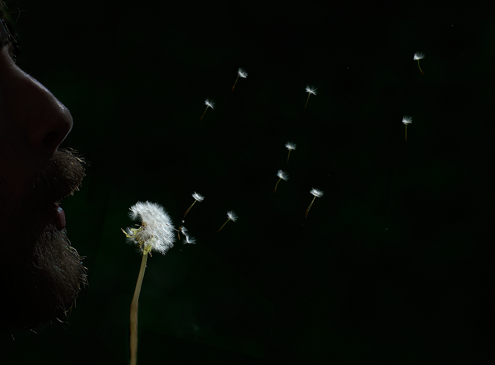 Blowing in the Wind