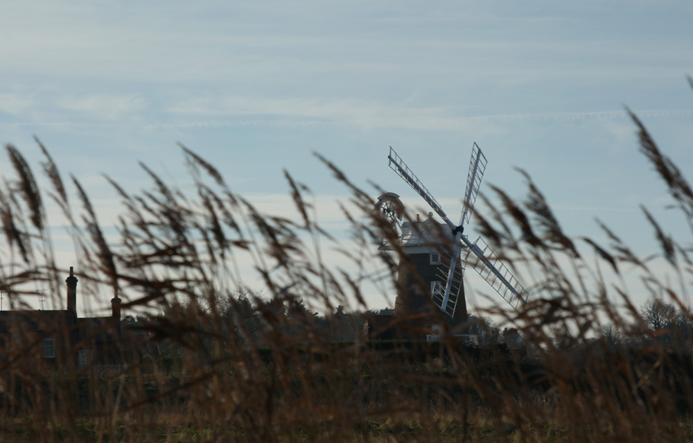 Blowing in the Wind