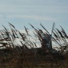 Blowing in the Wind