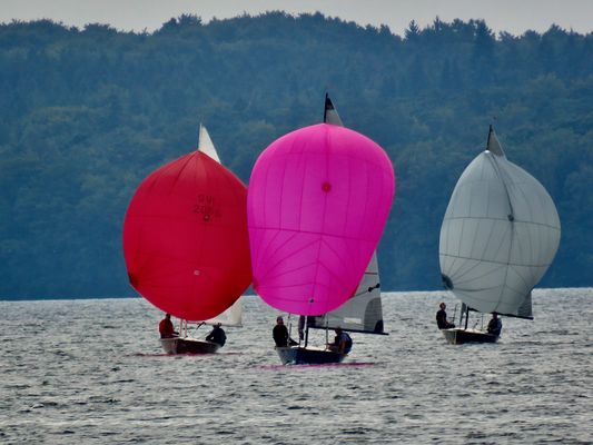 Blowing in the wind!