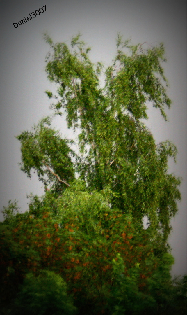 Blowing in the Wind