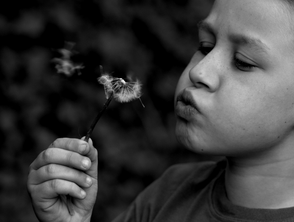 blowing in the wind