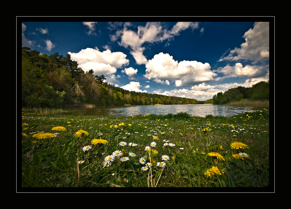 ... blowing in the wind