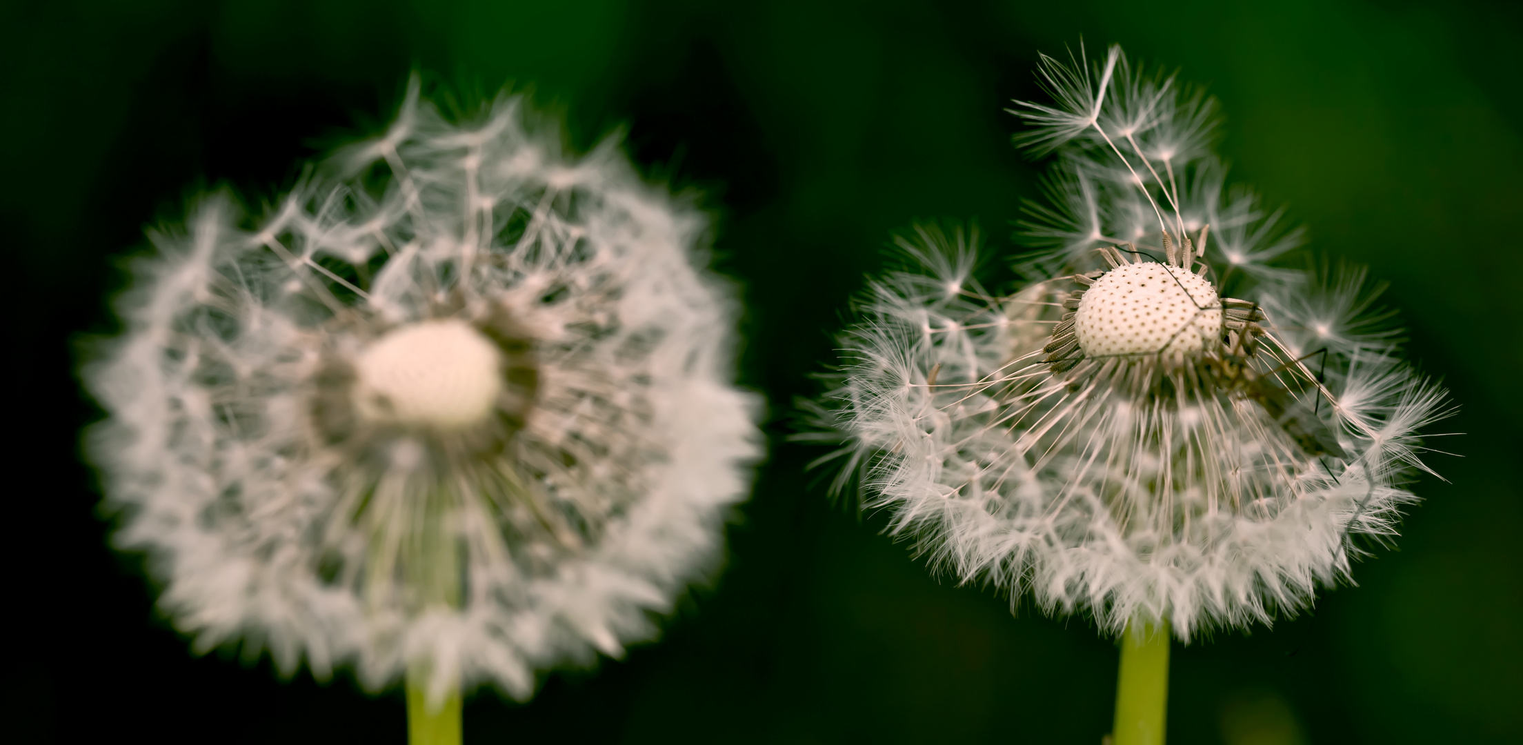 Blowing in the Wind................