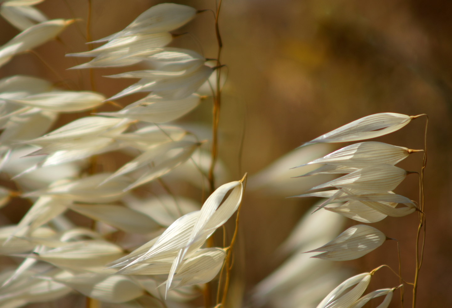 Blowing in the wind