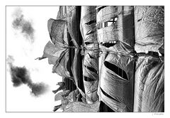 - blowing in the wind -