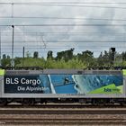 BLS Cargo...