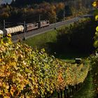 BLS im Herbst