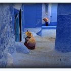 blu Chefchaouen