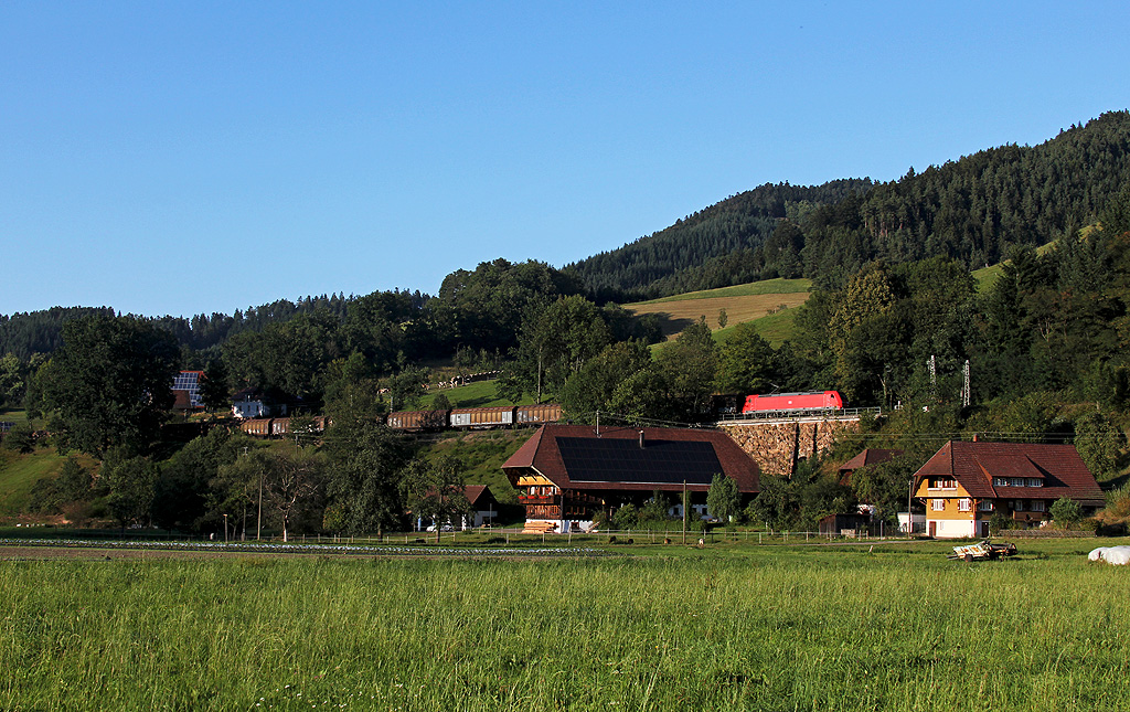 Blubberbrausedosen im Schwarzwald