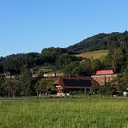 Blubberbrausedosen im Schwarzwald