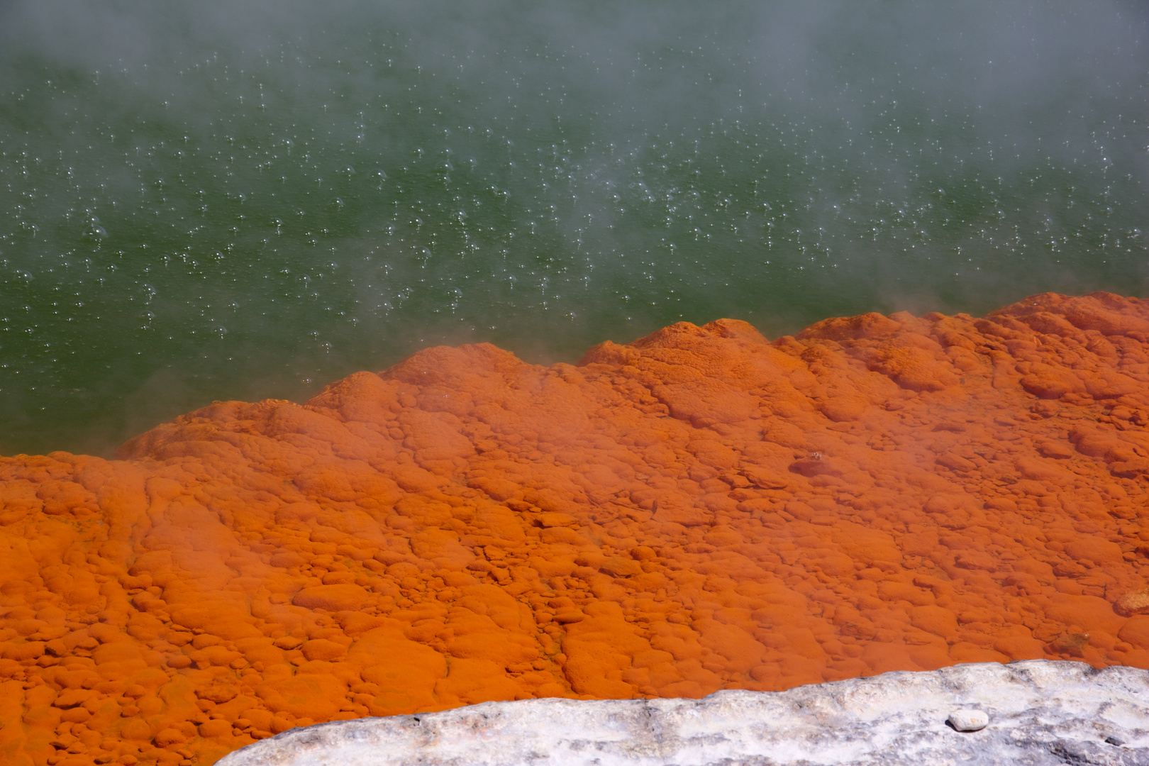 Blubberwasser - Champagnepool - Neuseeland