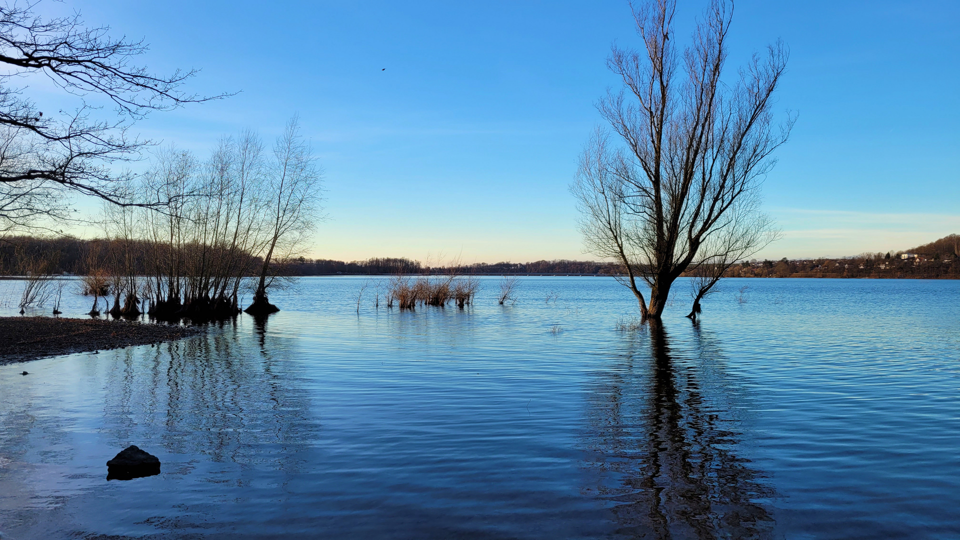 Blue Afternoon